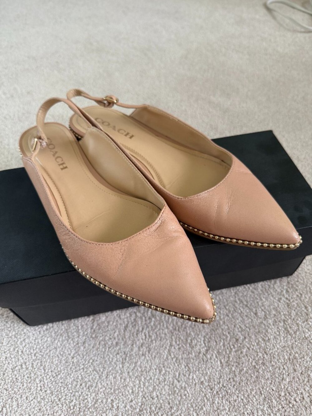Coach Nude Blush Leather Pointed-Toe Slingback Flats | Size 8